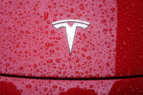 Tesla contests fines over worker's serious injury on conveyor belt