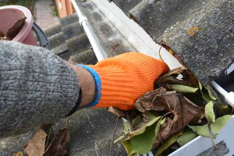 Gutter Cleaning Bradley