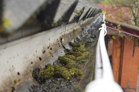 Gutter Cleaning Bourne Vale