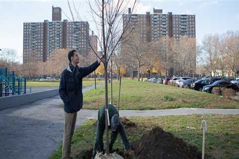 Funding Environmental Initiatives and Projects in Bronx, NY