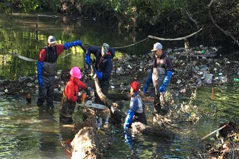 Collaborating for a Greener Bronx: How Environmental Groups in the Bronx, NY Work Together