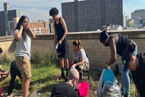 The Vital Role of Environmental Groups in Promoting Sustainable Practices in Bronx, NY