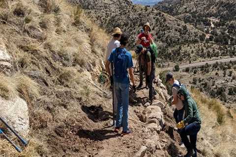 Exploring the Focus of Voluntary Organizations in Tucson, AZ