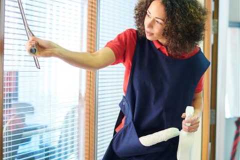 Office Cleaning Lady Wood