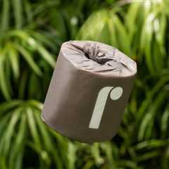 Bamboo toilet paper from Reel wipes away deforestation