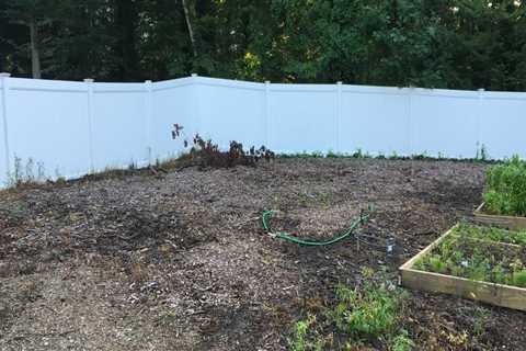 What Are The Top Reasons To Invest In Mulching Services For Your Northern Virginia Urban Forestry