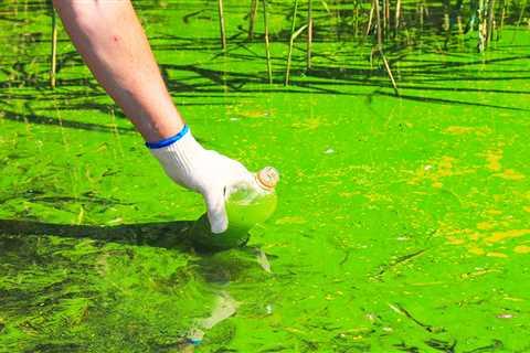 Avoiding Algal Blooms