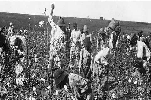 The Role of Enslaved People in Broward County, FL Plantations