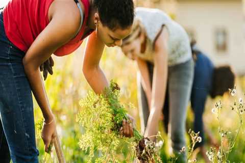 Making a Tangible Difference Through Environmental Volunteering