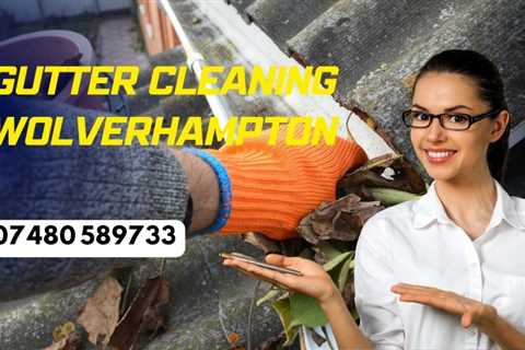 Gutter Cleaning Rowley Regis