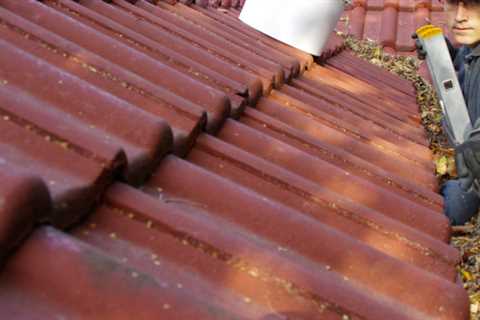 Gutter Cleaning Springhill