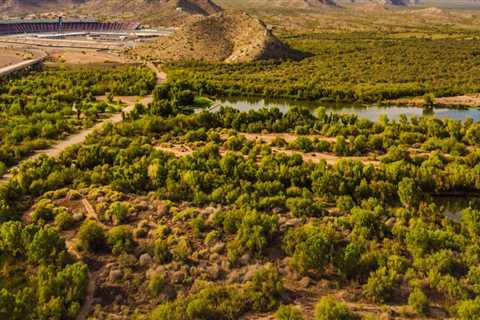 Exploring the Impact of LGBTQ+ Focused Nonprofits in San Tan Valley, AZ