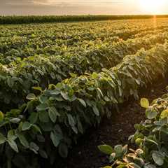 How does the agriculture industry in northern texas impact finance practices and investments?