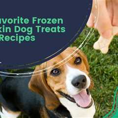 Our Favorite Frozen Pumpkin Dog Treats Recipes