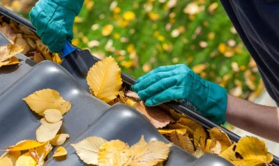 Gutter Cleaning Langley