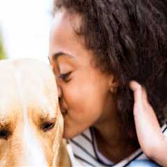 Unleashing the Best Vet Care in Augusta, GA: Your Pet's Health Matters