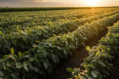 How does the agriculture industry in northern texas impact finance practices and investments?