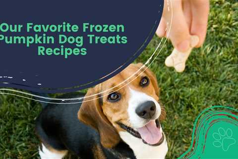 Our Favorite Frozen Pumpkin Dog Treats Recipes