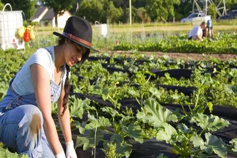 Urban Farming in London: A Comprehensive Guide to a Healthier and More Sustainable Future