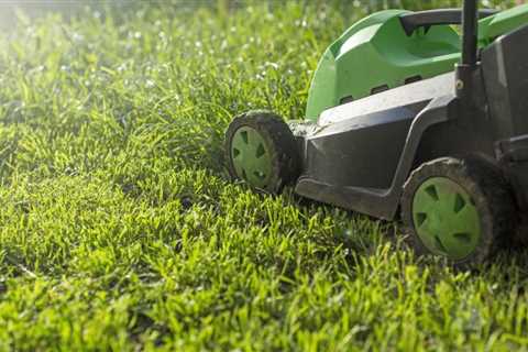 Best electric lawn mowers of 2024