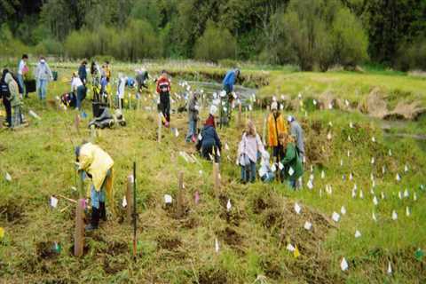 Volunteering in Clark County: A Guide to Giving Back