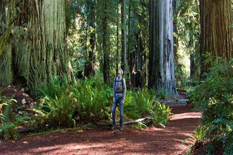 Exploring the Best Hiking and Running Trails in Northern California