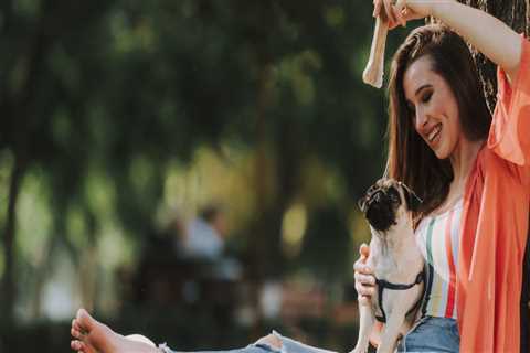 The Ultimate Guide to Booking and Scheduling Pet Care Services in Alexandria, Virginia