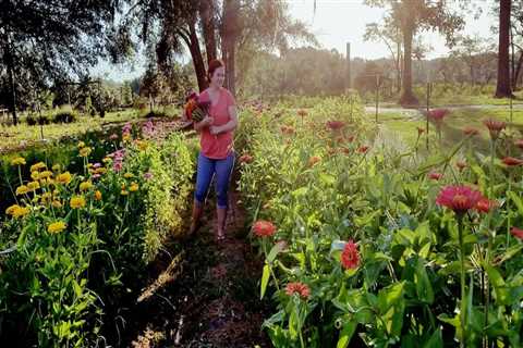 The Growing Impact of Agricultural Programs on Charleston's Local Food System