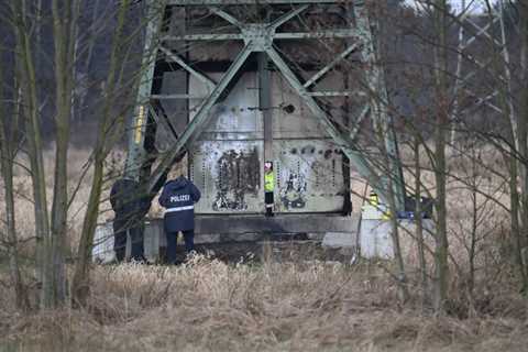 Tesla production in Germany halted after power outage as police suspect arson