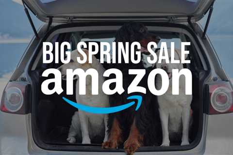 The best Amazon Big Spring Sale deals for your dog