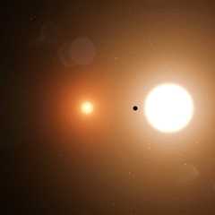 Are Metal-Rich Stars Less Suitable for Finding Alien Life on Other Planets?