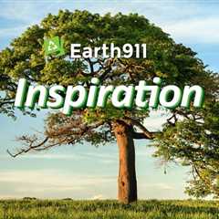 Earth911 Inspiration: I Can Do Something