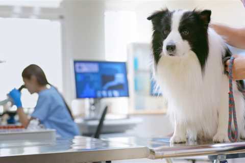 Low-Cost Veterinary Clinical Diagnostics