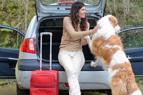 Celebrate National Pet Day by taking your furry best friend on a road trip - here's what you'll need