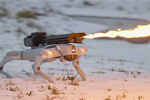 You can buy a flame-throwing robot dog for under $10,000