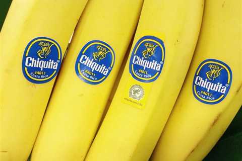 Trial Against Chiquita Hinges on Motives for Payments in Colombia