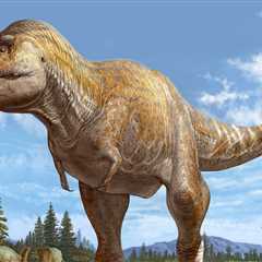 New Origin Story for Tyrannosaurs Rex Suggested by Fossil