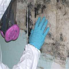 Building Dreams, Fixing Nightmares: Mold Remediation Services For Custom Home Builders In Houston,..