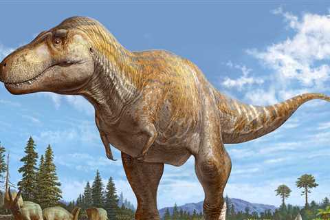 New Origin Story for Tyrannosaurs Rex Suggested by Fossil