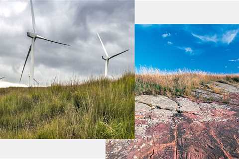 The Future of Renewable Energy in Minneapolis, MN