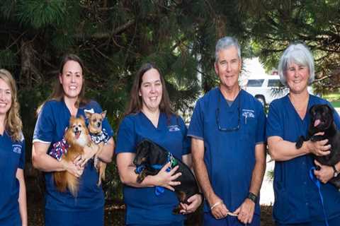 The Top Animal Hospitals in Fayetteville, Arkansas