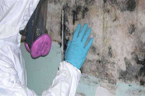 Building Dreams, Fixing Nightmares: Mold Remediation Services For Custom Home Builders In Houston,..