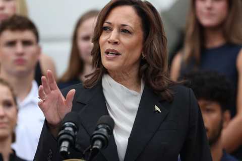 Lawyers in Big Law Kick Off Fundraising and Organizing for Kamala Harris