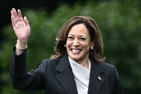 Leader Of Elite Top 50 Biglaw Firm Is Backing Kamala Harris In A Major Way