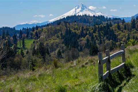 Exploring the Best Parks and Recreational Areas in Multnomah County, Oregon