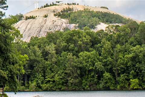 Weather Services in Northeastern Georgia: Understanding the Average Humidity Level During Spring