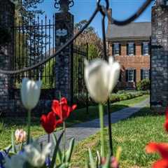 Discovering the Fascinating History and Culture of Winemaking in Stafford County, VA