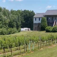 Discovering the Hidden Gems of Family-Friendly Wineries in Stafford County, VA