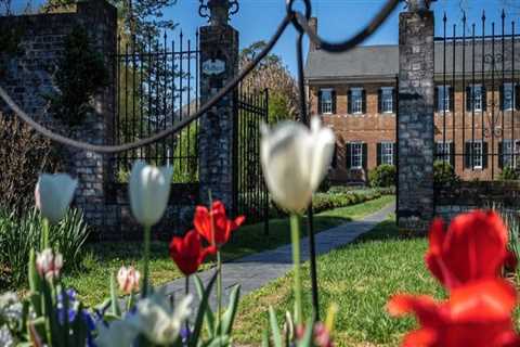 Discovering the Fascinating History and Culture of Winemaking in Stafford County, VA