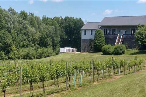 Discovering the Hidden Gems of Family-Friendly Wineries in Stafford County, VA